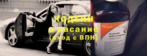 шишки Алзамай