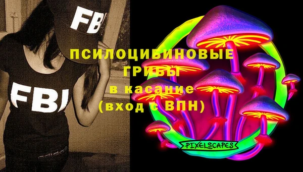 шишки Алзамай